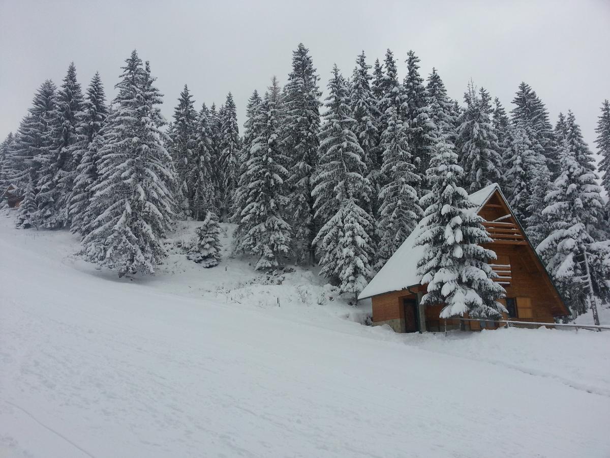 ヴラシチ Chalet The Best Viewヴィラ エクステリア 写真